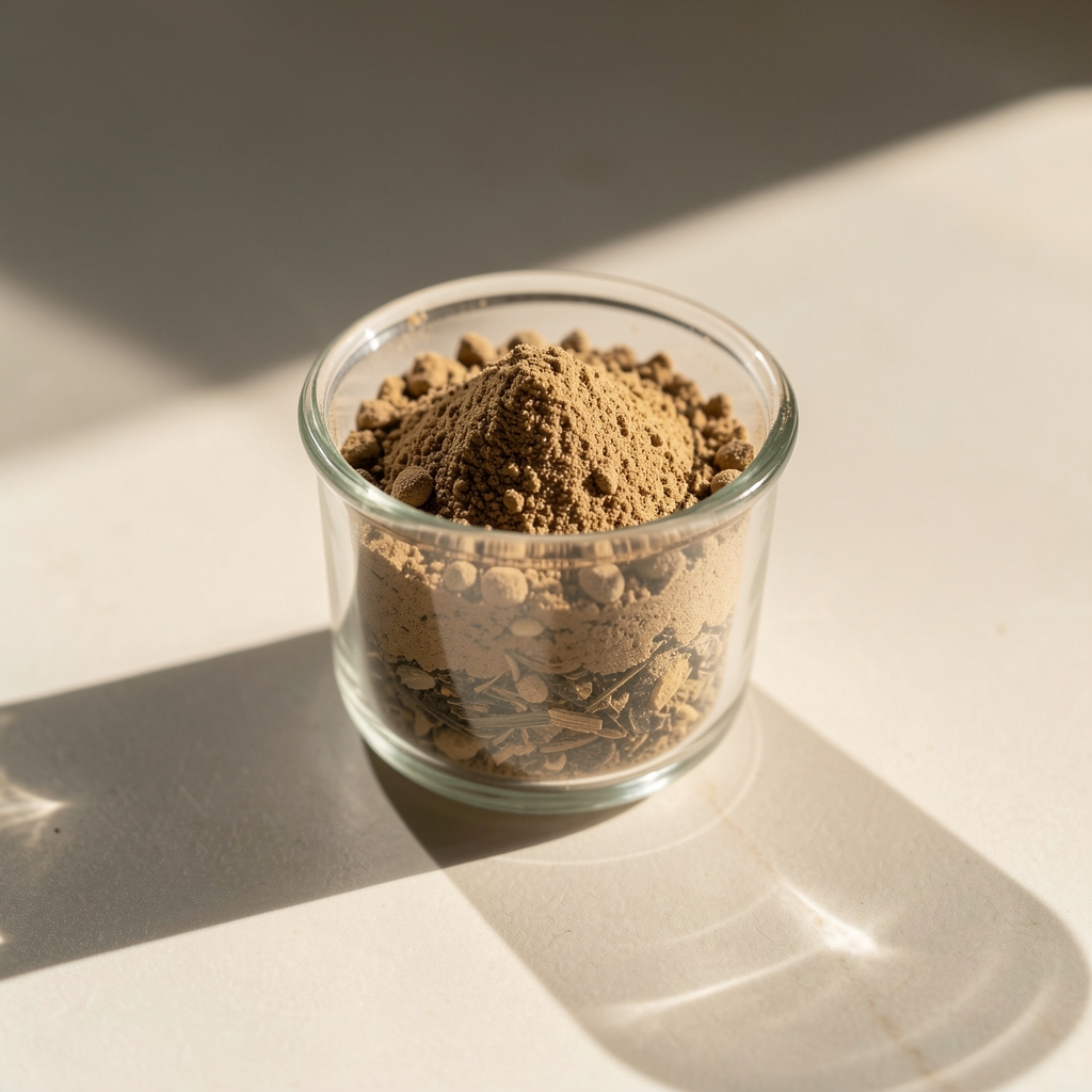 Macro photograph of ashwagandha root powder in a small glass beaker with natural light casting long shadows on a pale surface